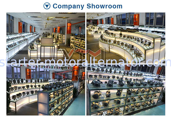 OEM 1197311301 Alternator Voltage Regulator with 18 Months Warranty and ISO9001/CE/TS16949 Certification for Iveco